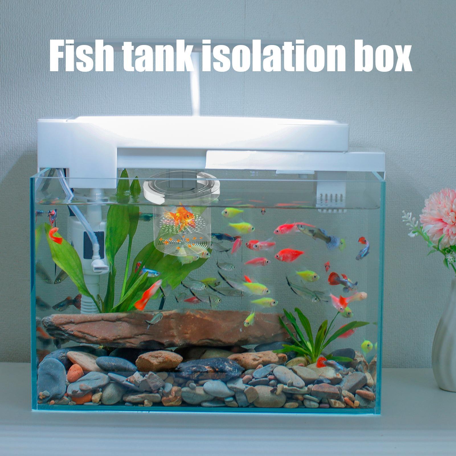 Fish Breeder Box Floating Aqua - Aquarium Fish Betta 评论和价格