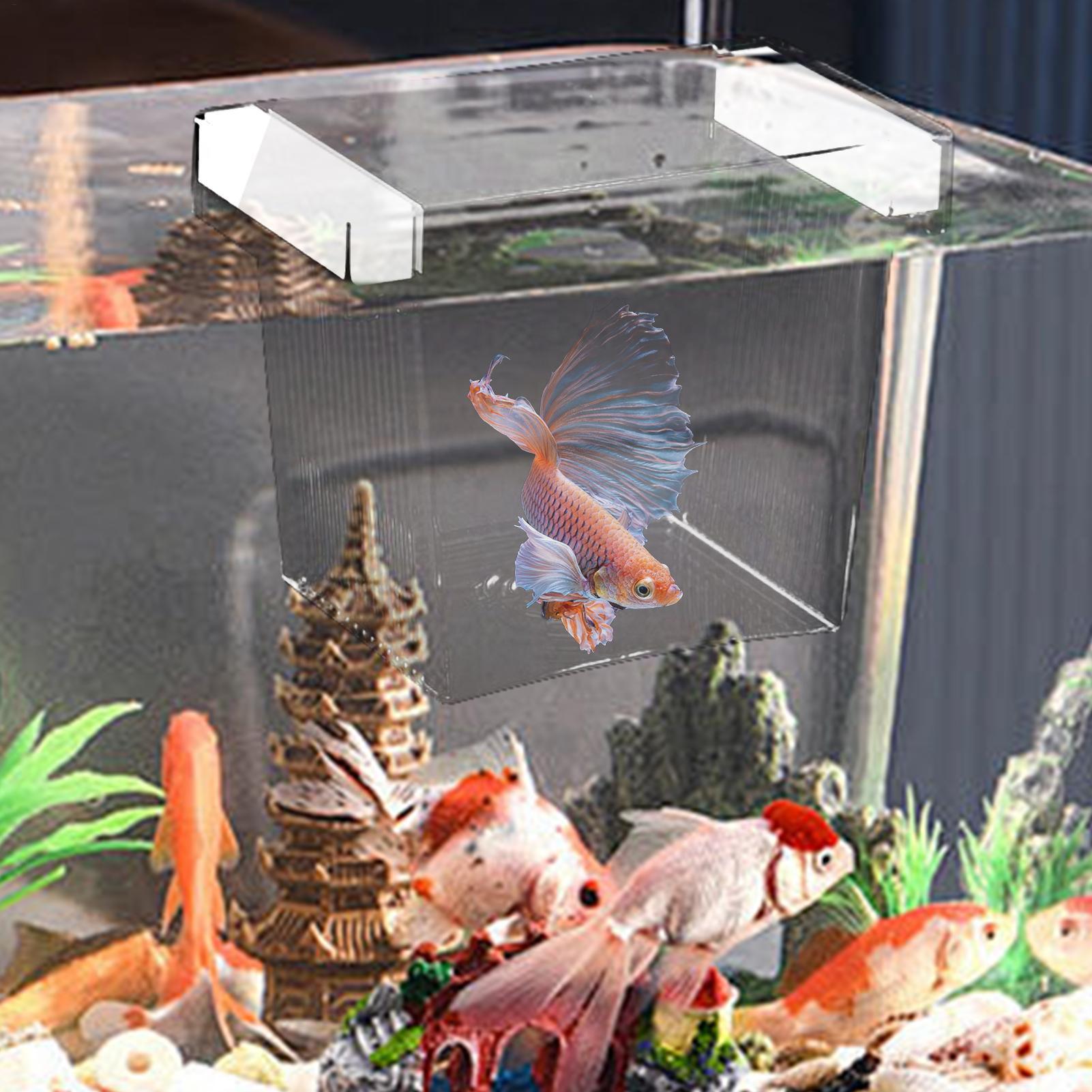 Fish Breeder Box Floating Aqua - Aquarium Fish Betta 评论和价格