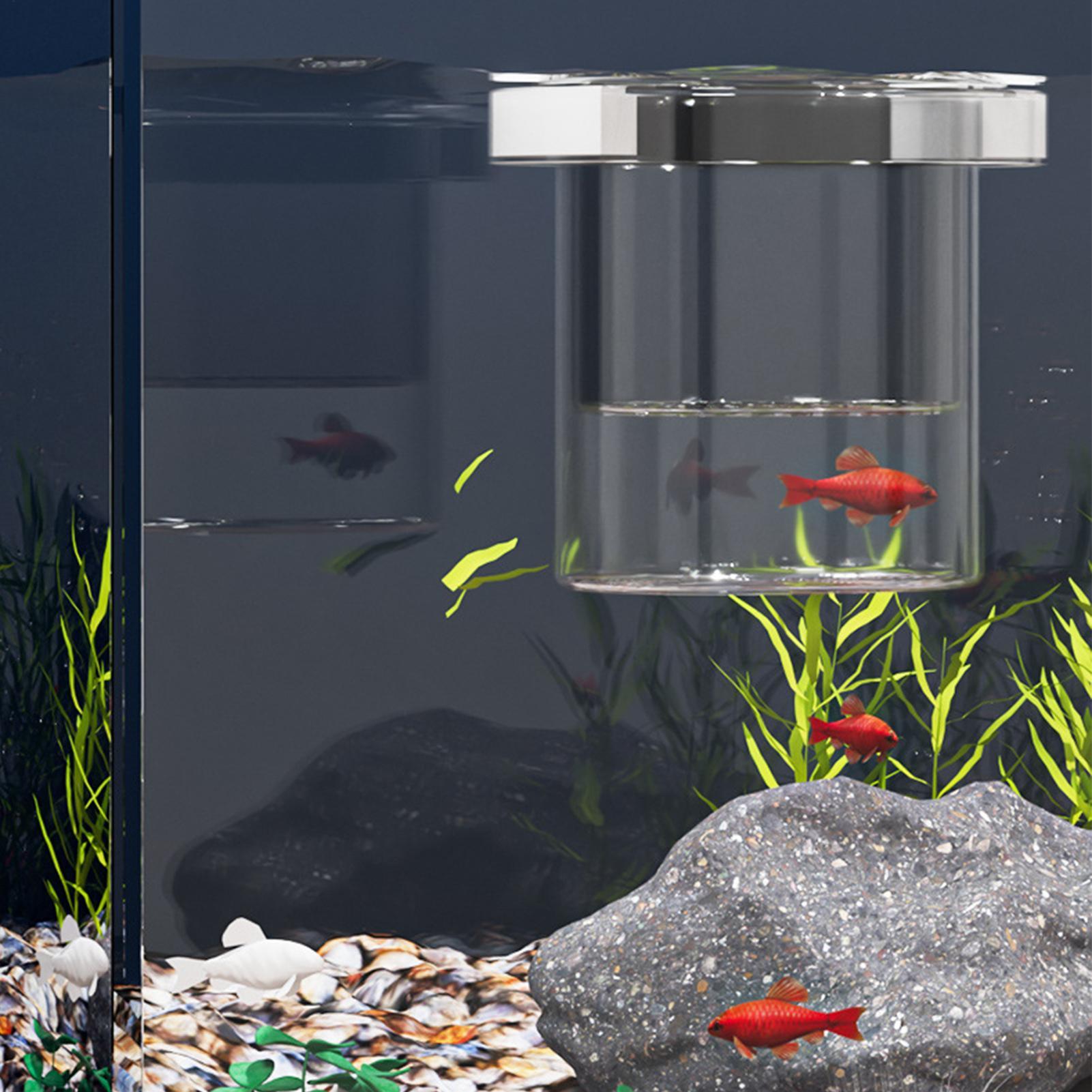 Fish Breeder Box Floating Aqua - Aquarium Fish Betta 评论和价格