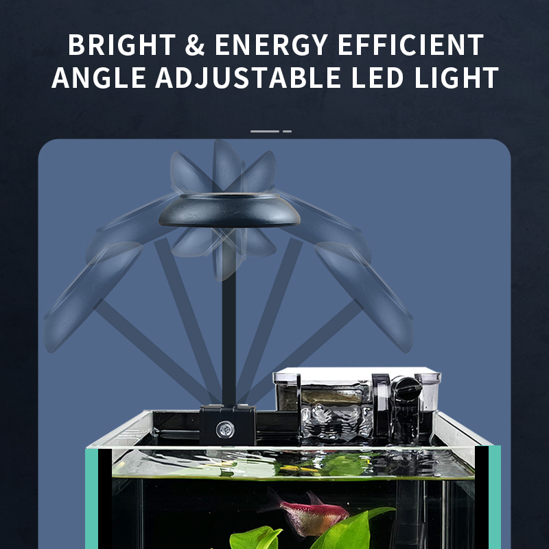 New Ultra-Clear Glass Betta Fi - Aquarium Fish Betta 评论和价格