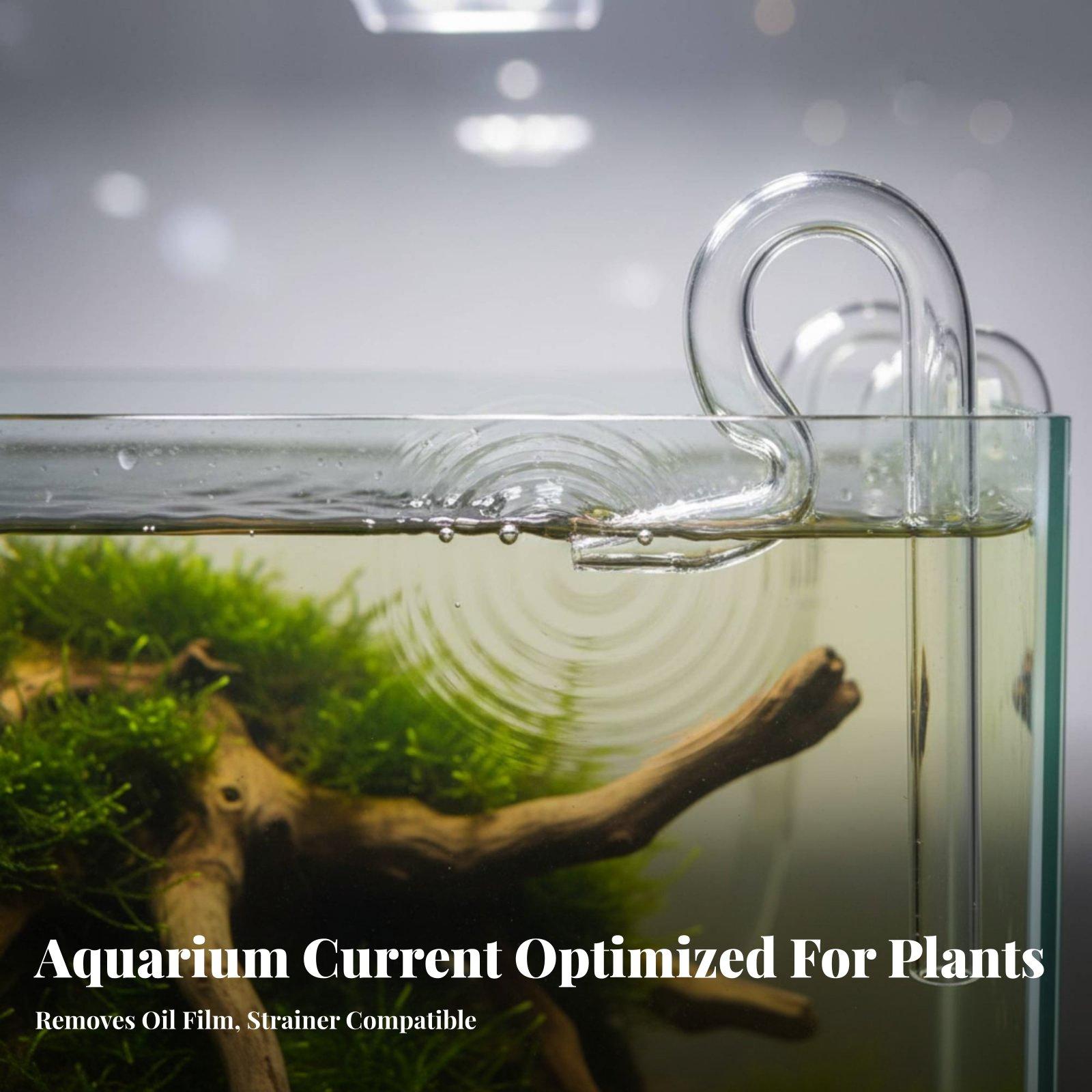 Glass Lily Pipe Aquarium Surfa - Aquarium Plants 评论和价格