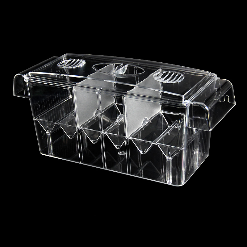Clear Aquarium Fish Tank Isola - Aquarium Fish Betta 评论和价格