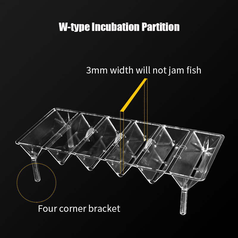 Clear Aquarium Fish Tank Isola - Aquarium Fish Betta 评论和价格