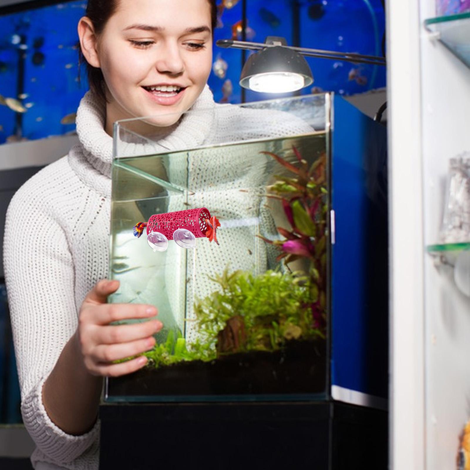 Betta Habitat Resting Shelter  - Betta Fish Tank 评论和价格