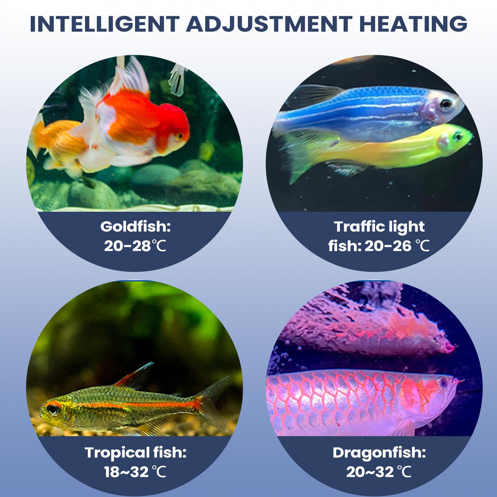 Aquarium Air Pump Portable Aqu - Aquarium Pump 评论和价格
