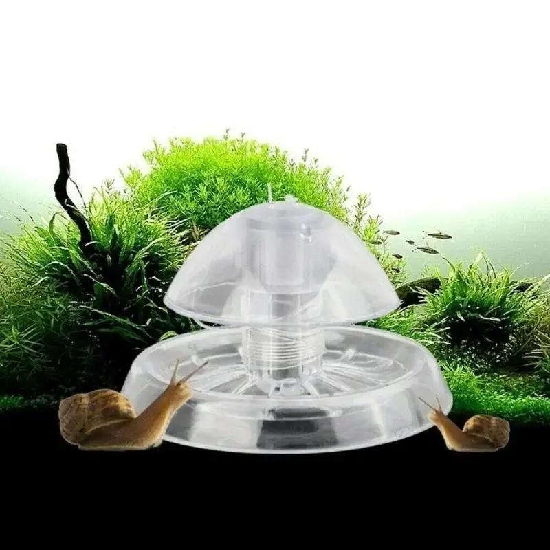 2026 New 6/8CM Clear Plastic S - Fish Aquarium Home 评论和价格