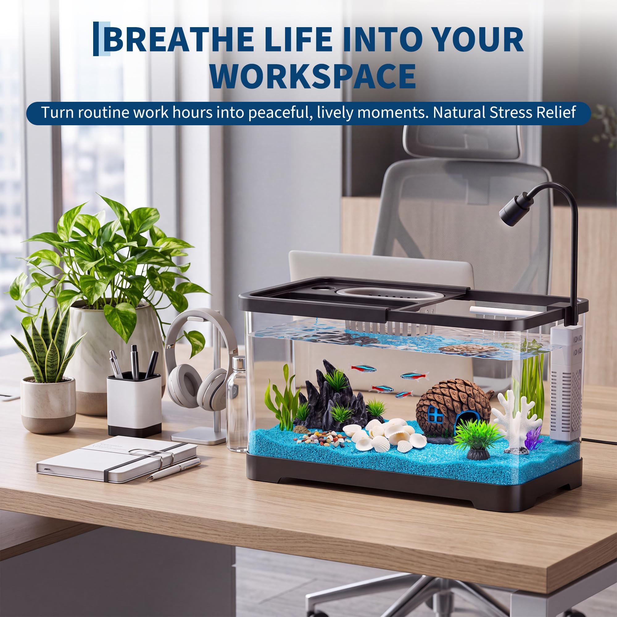 Fish Tank Starter Kit With Fil - Betta Fish Tank 评论和价格