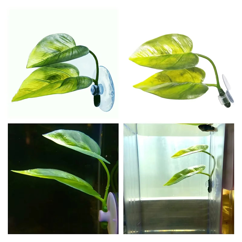Aquarium Pet Supplies Decorati - Betta Fish Tank 评论和价格