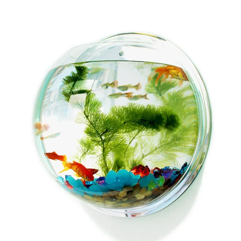 Pinsjar Acrylic Fish Bowl Wall - Betta Fish Tank 评论和价格