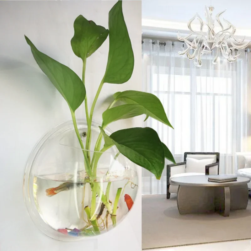 Pinsjar Acrylic Fish Bowl Wall - Betta Fish Tank 评论和价格