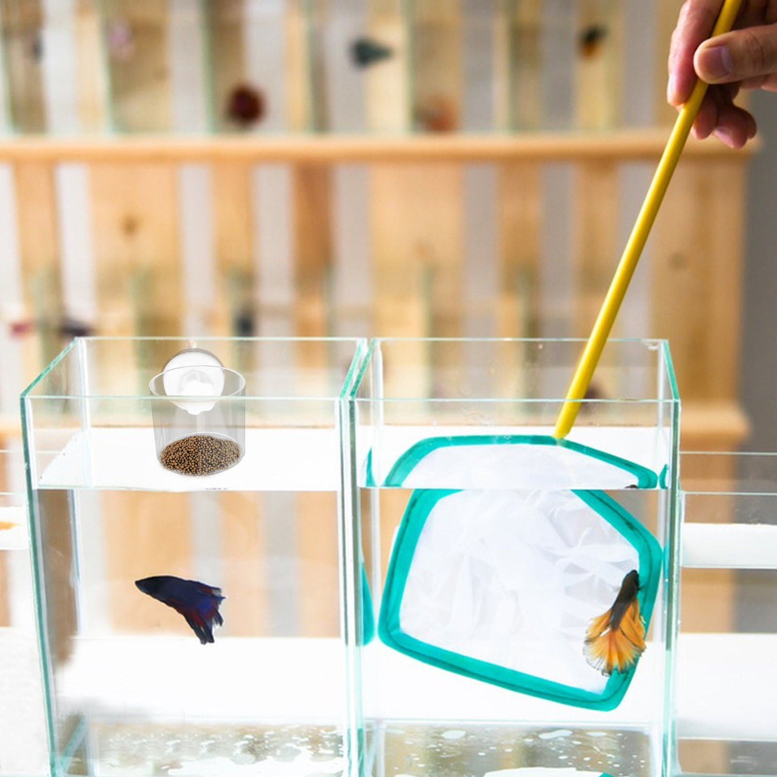 2Pcs Aquarium Feeding Ring Fis - Aquarium Fish Keeping 评论和价格