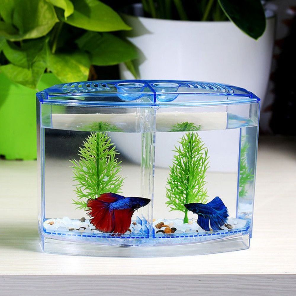 Transparent Betta Fish Tank, D - Betta Fish Tank 评论和价格