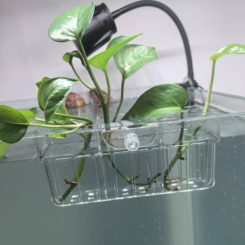 Hydroponic Plant Basket Food G - Fish Food 评论和价格