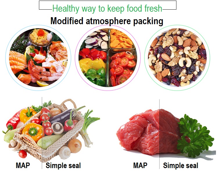 430 Food Vaccum Sealer Traysea - Fish Food 评论和价格