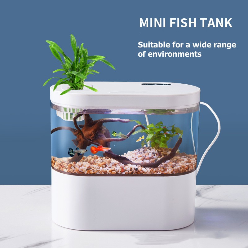 Creative Mini Desktop Fish Tan - Betta Fish Tank 评论和价格