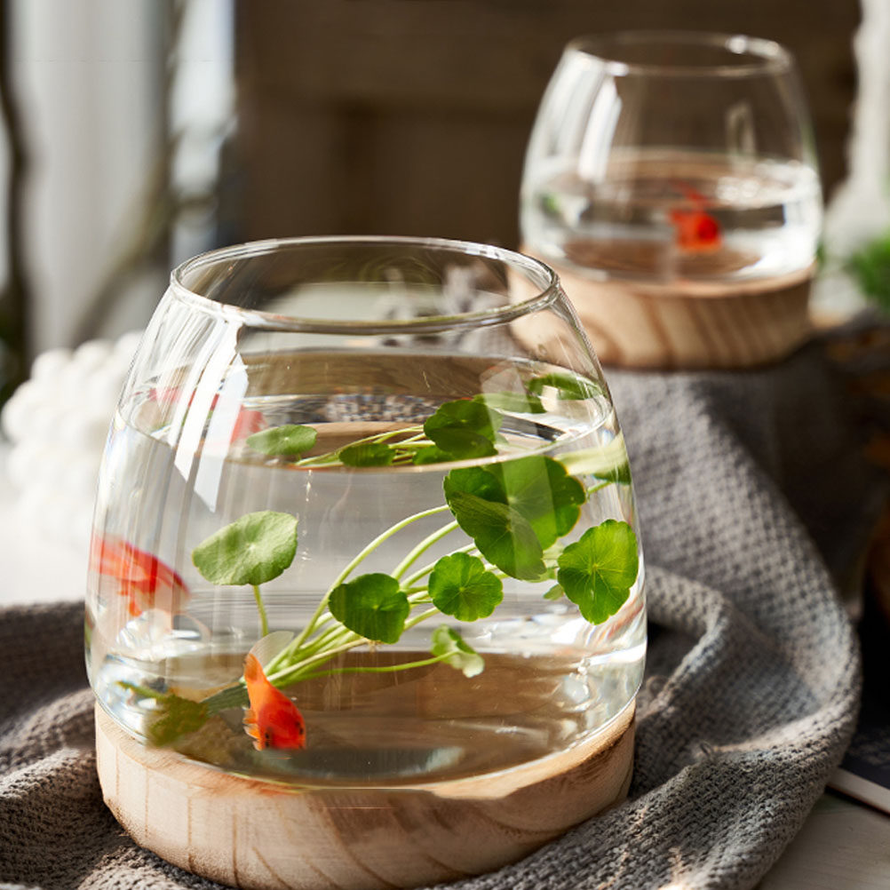 1Set Clear Glass Hydroponic Pl - Aquarium Plants 评论和价格